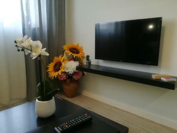 Iris Apartment Pombal  Exteriér fotografie